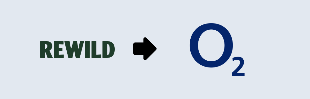 Switch from Rewild Mobile to O2 and keep your number