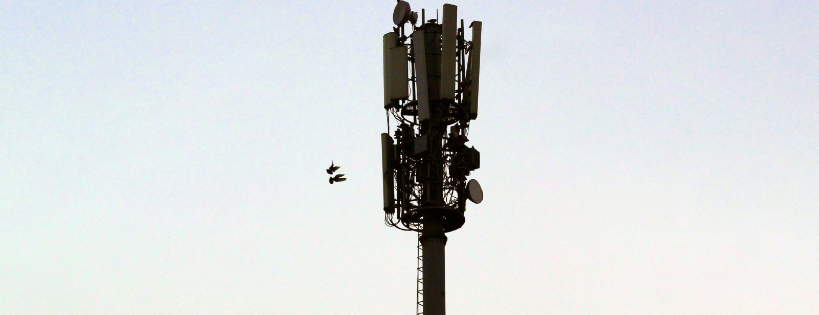 Vodafone Launches SuperMobile With 5G+ FastTrack and a 15Mbps Speed Guarantee